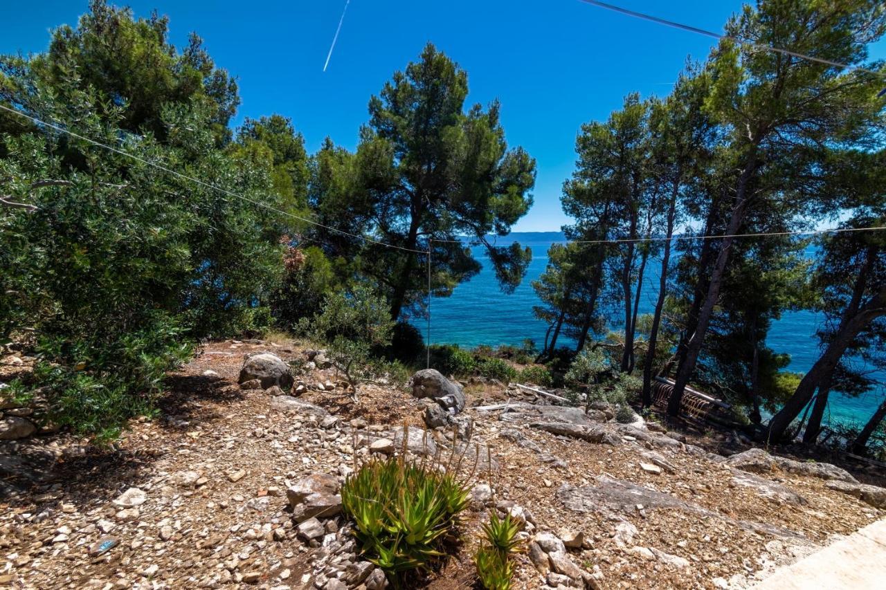 Seaside Secluded Apartments Cove Torac, Hvar - 575 Gdinj Eksteriør billede