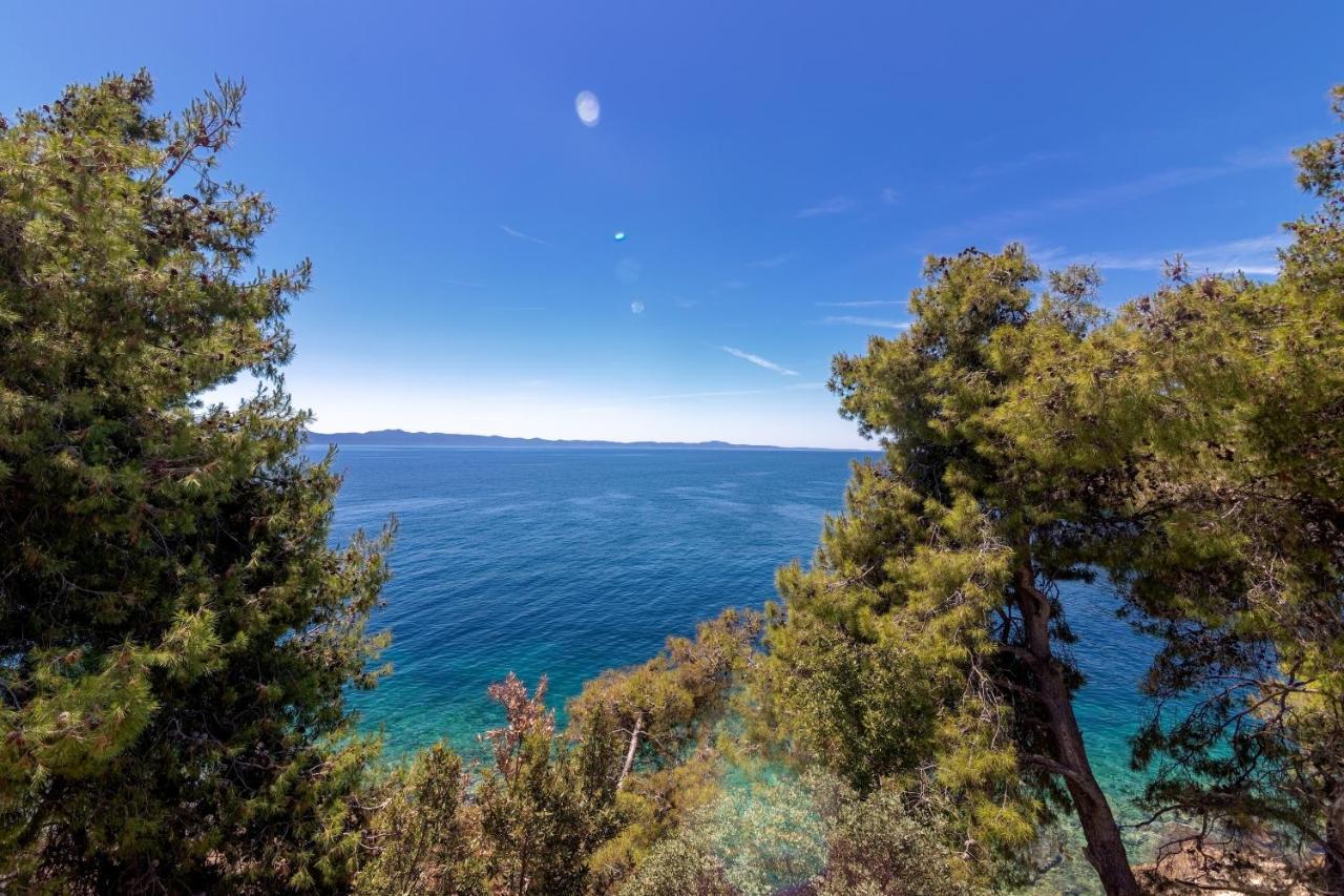 Seaside Secluded Apartments Cove Torac, Hvar - 575 Gdinj Eksteriør billede